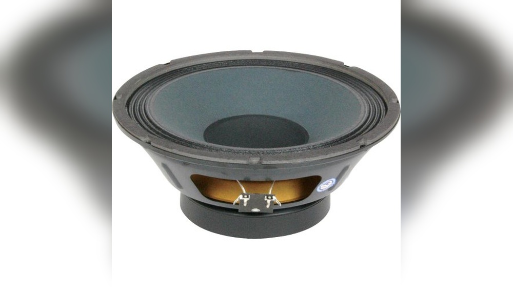 Best 10 Bass Guitar Speaker