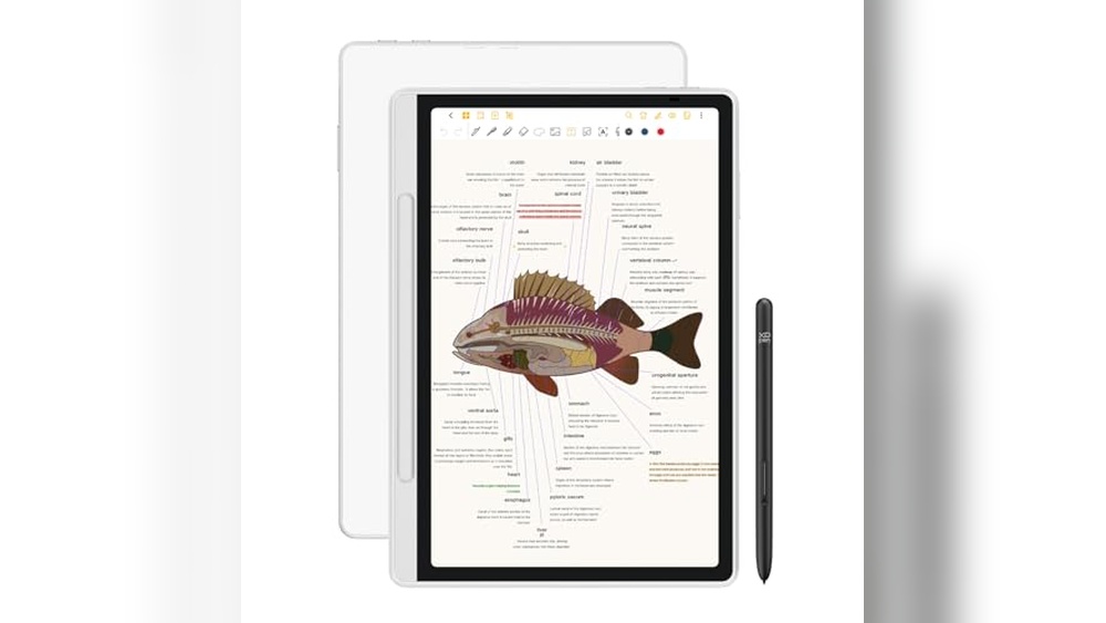 Best Note Taking Tablet